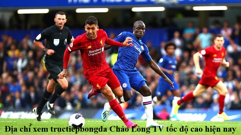 dia-chi-xem-tructiepbong-da-chao-long-tv-toc-do-cao-hien-nay